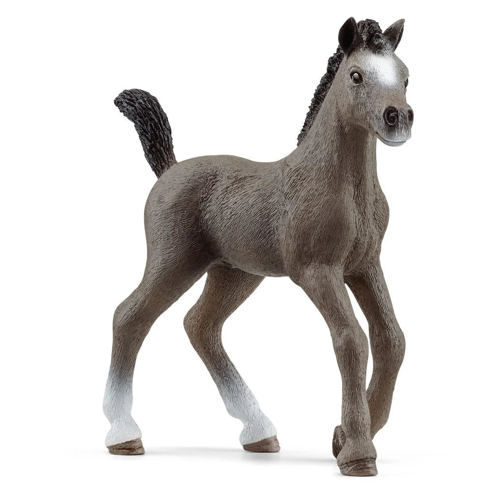 Schleich Selle Francais Foal 13957