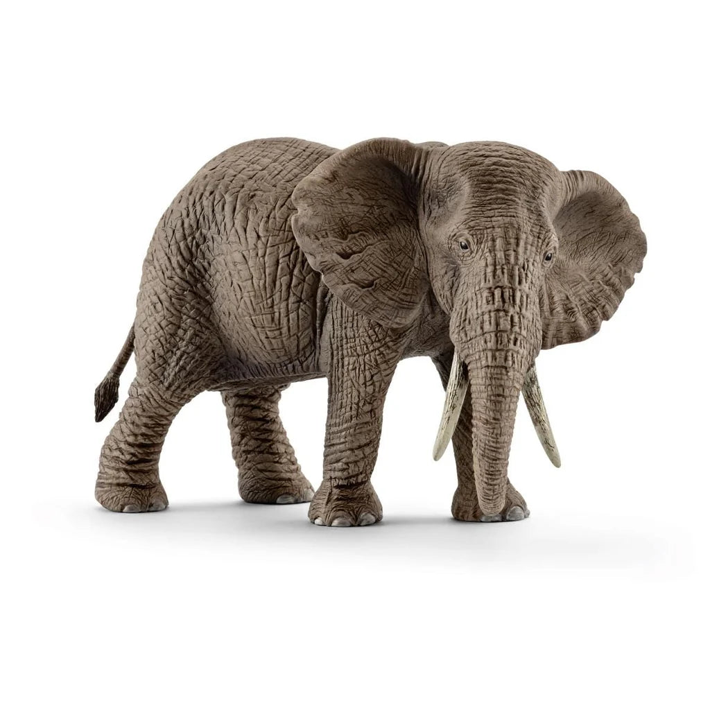 Schleich African Elephant, female 14761