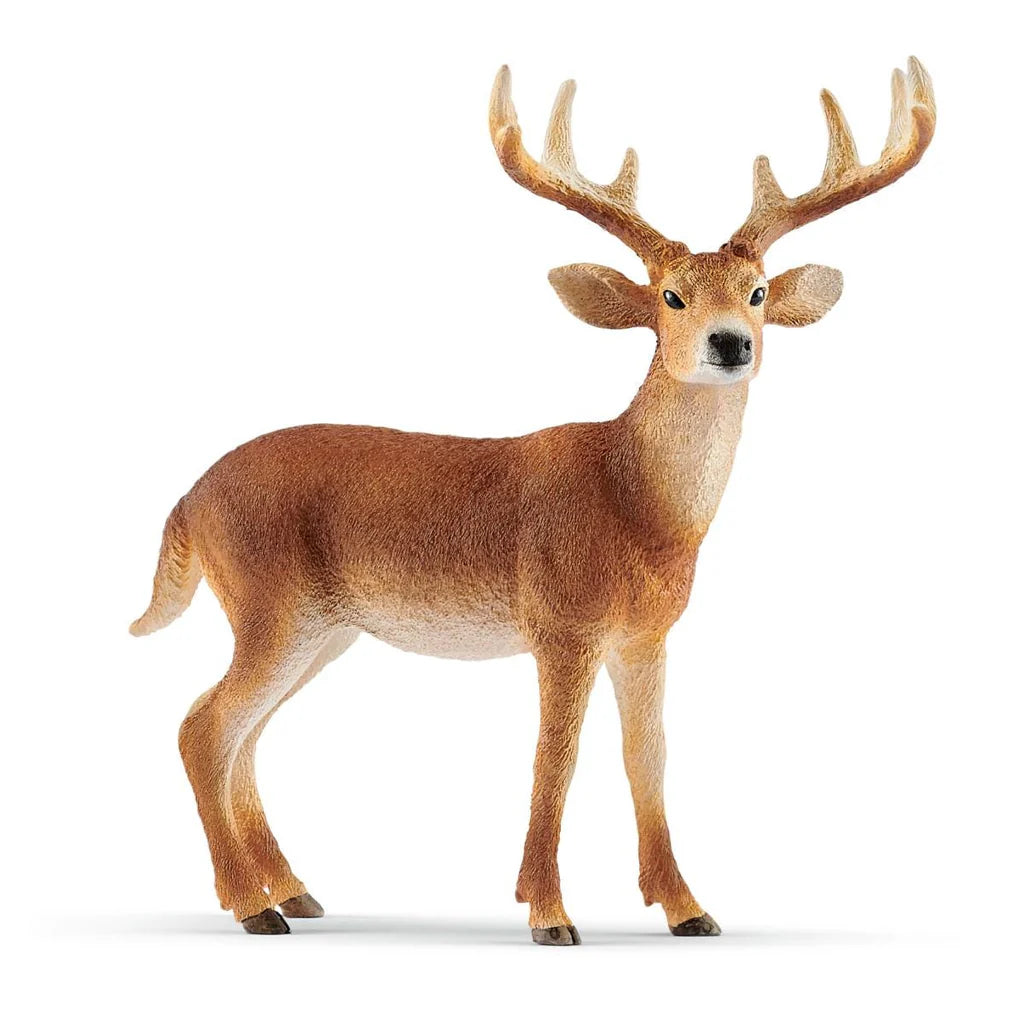 Shleich White-tailed buck 14818