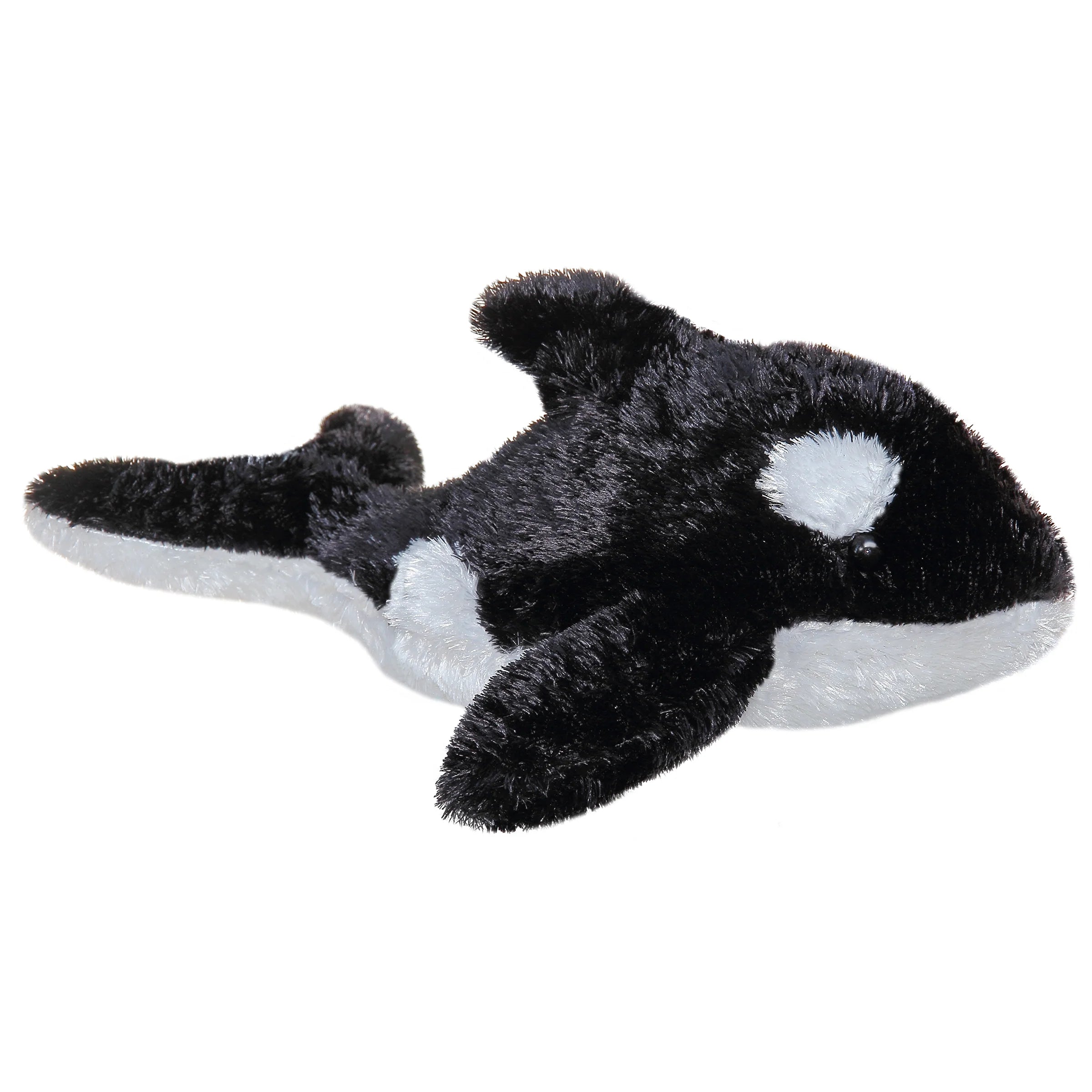 Aurora- Orca