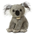 Miyoni- Koala