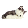 Miyoni- Sleepy Husky Pup