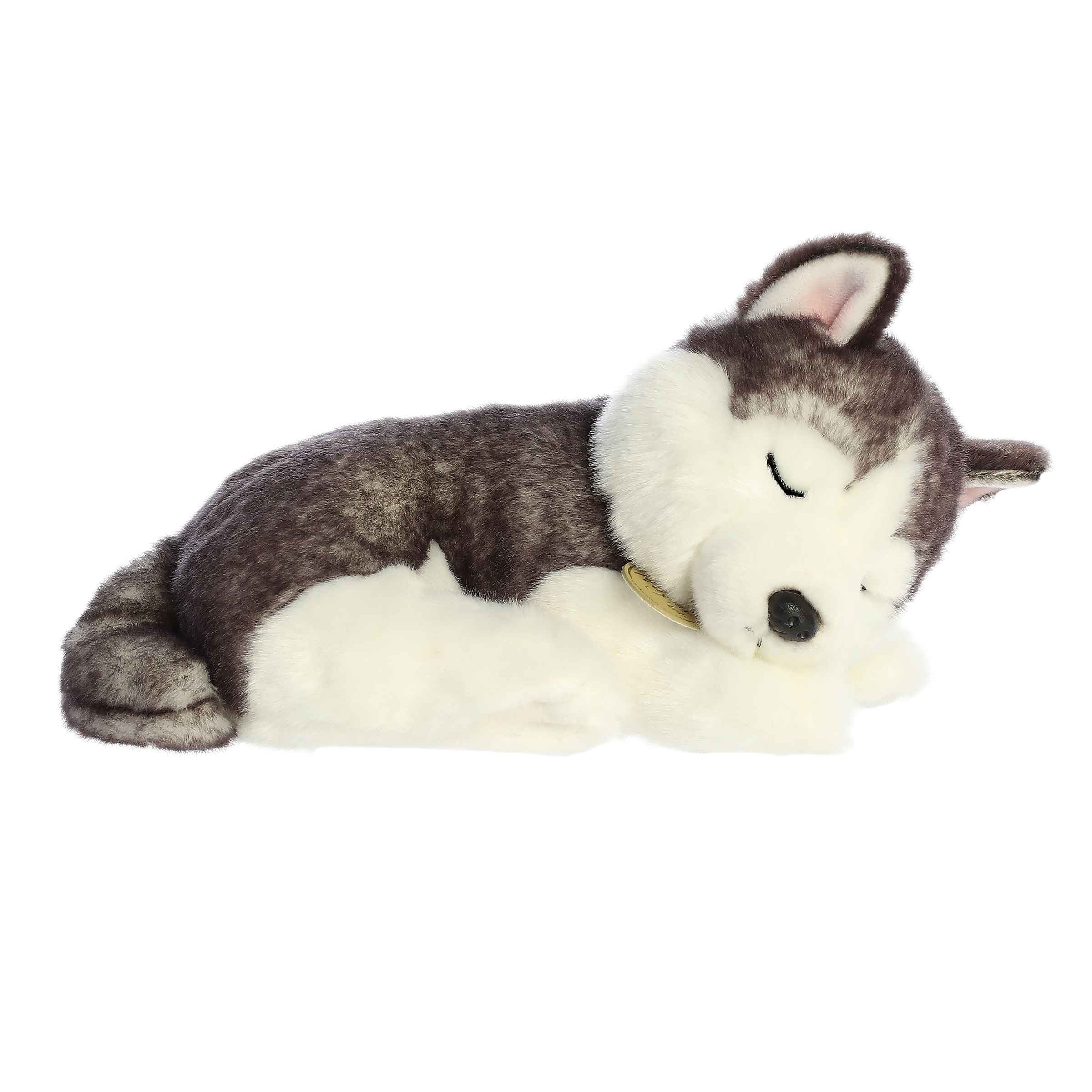 Miyoni- Sleepy Husky Pup