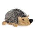 Aurora- Howie (hedgehog)
