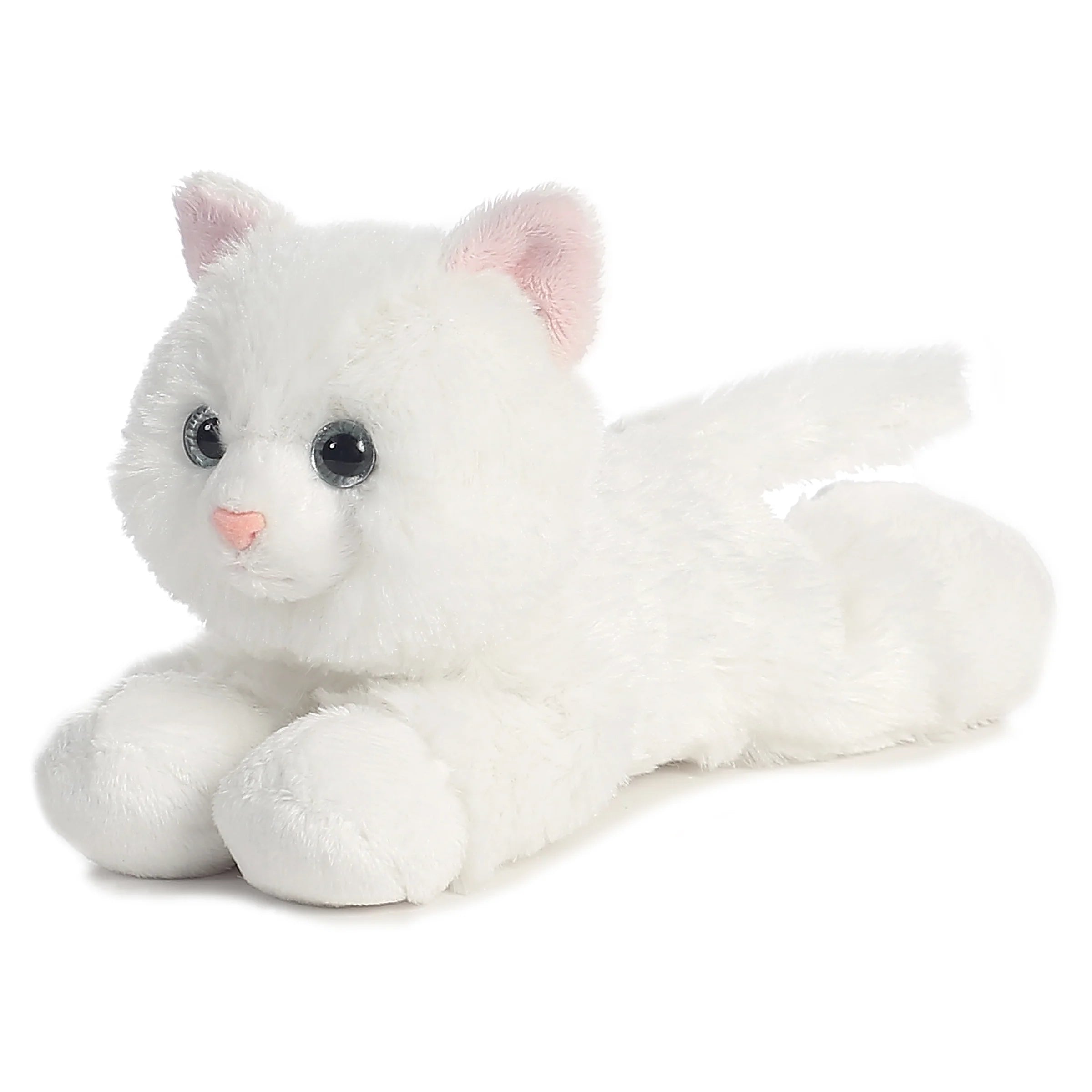 Aurora- Sugar Too (white cat)