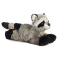 Aurora- Rascal (racoon)