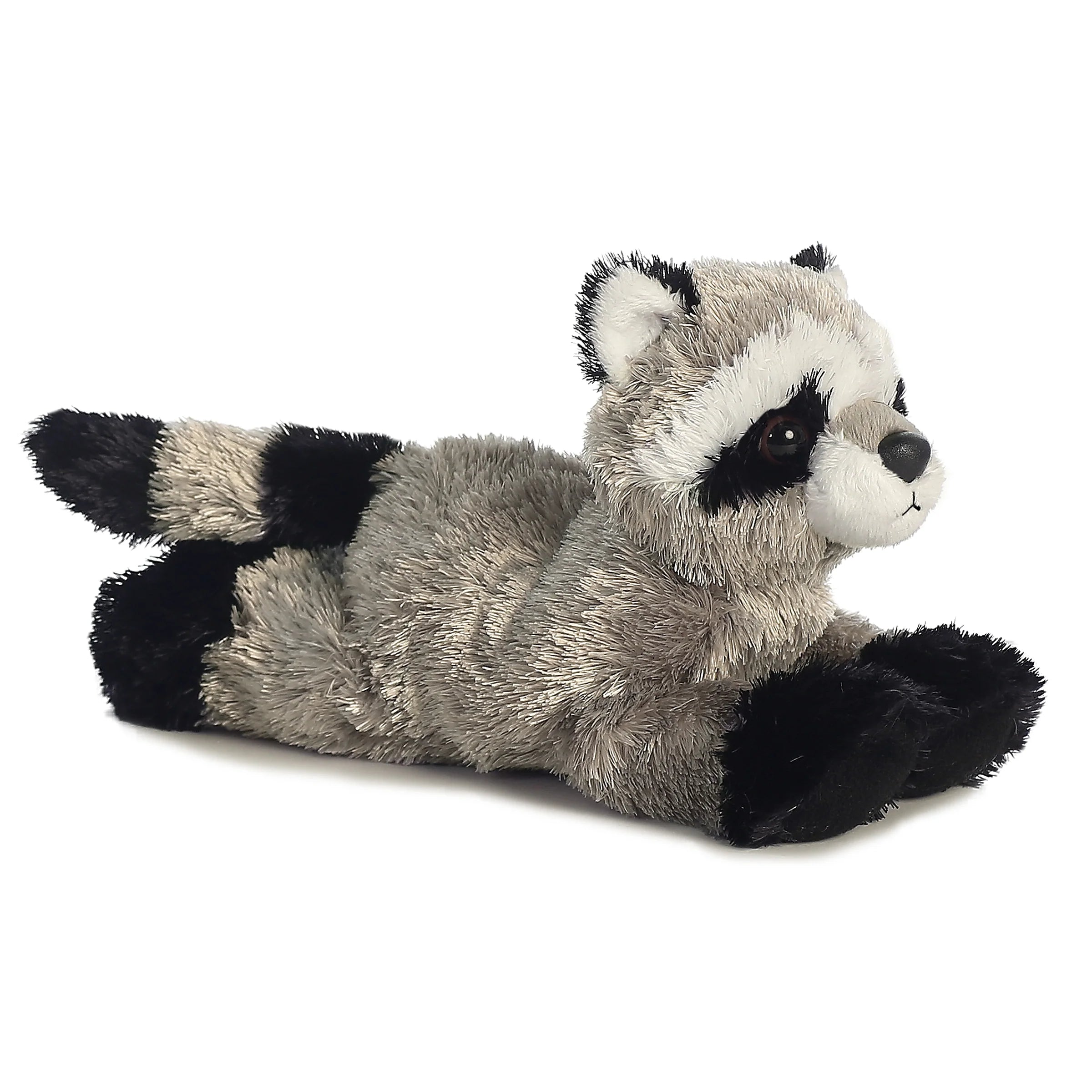 Aurora- Rascal (racoon)