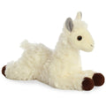 Aurora- Llama