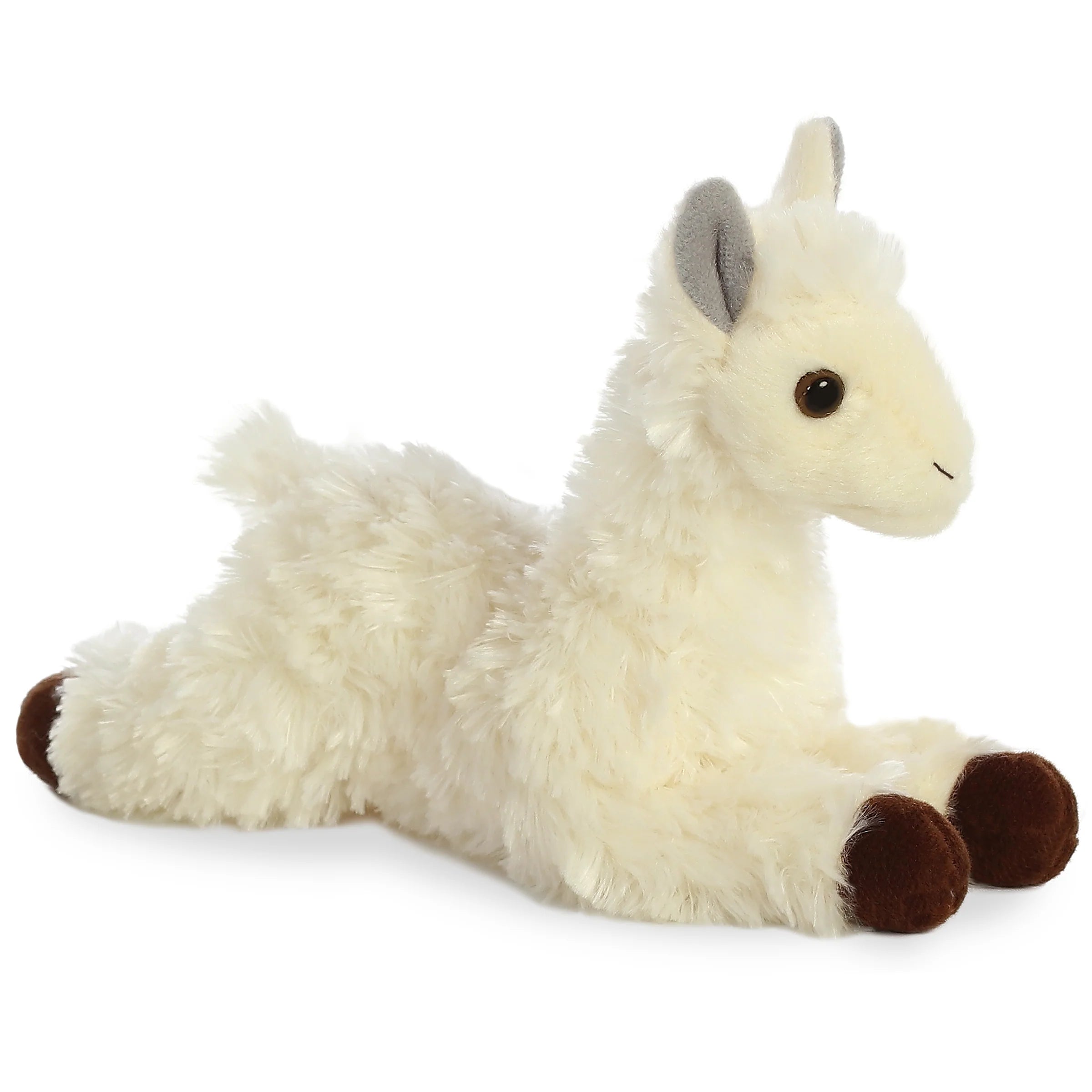 Aurora- Llama