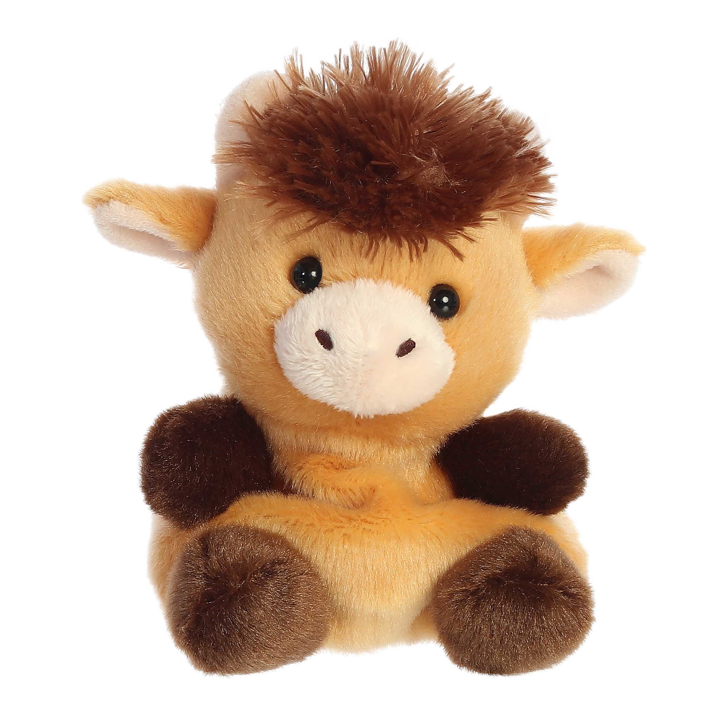 Palm Pals - Hubert Highland Cow 5”