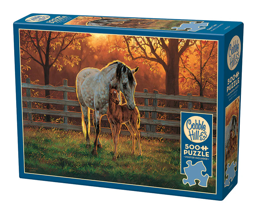 Cobble Hill Puzzle- Quiet Time 500pc