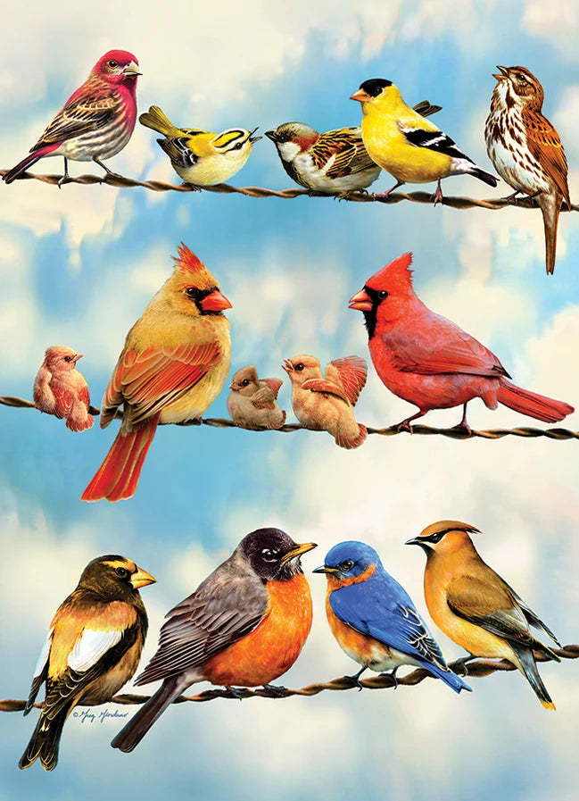 Cobble Hill Puzzle- Birds on a Wire 500pc