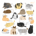 Microfiber Smart Cloth - Cats
