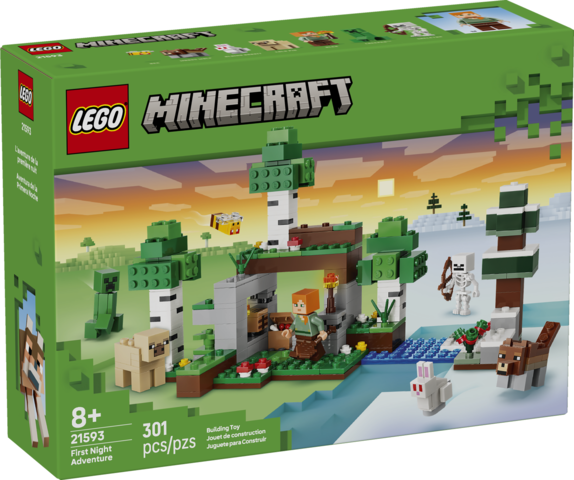 Lego 21593 First Night Adventures