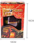 Dinosaur Egg LG