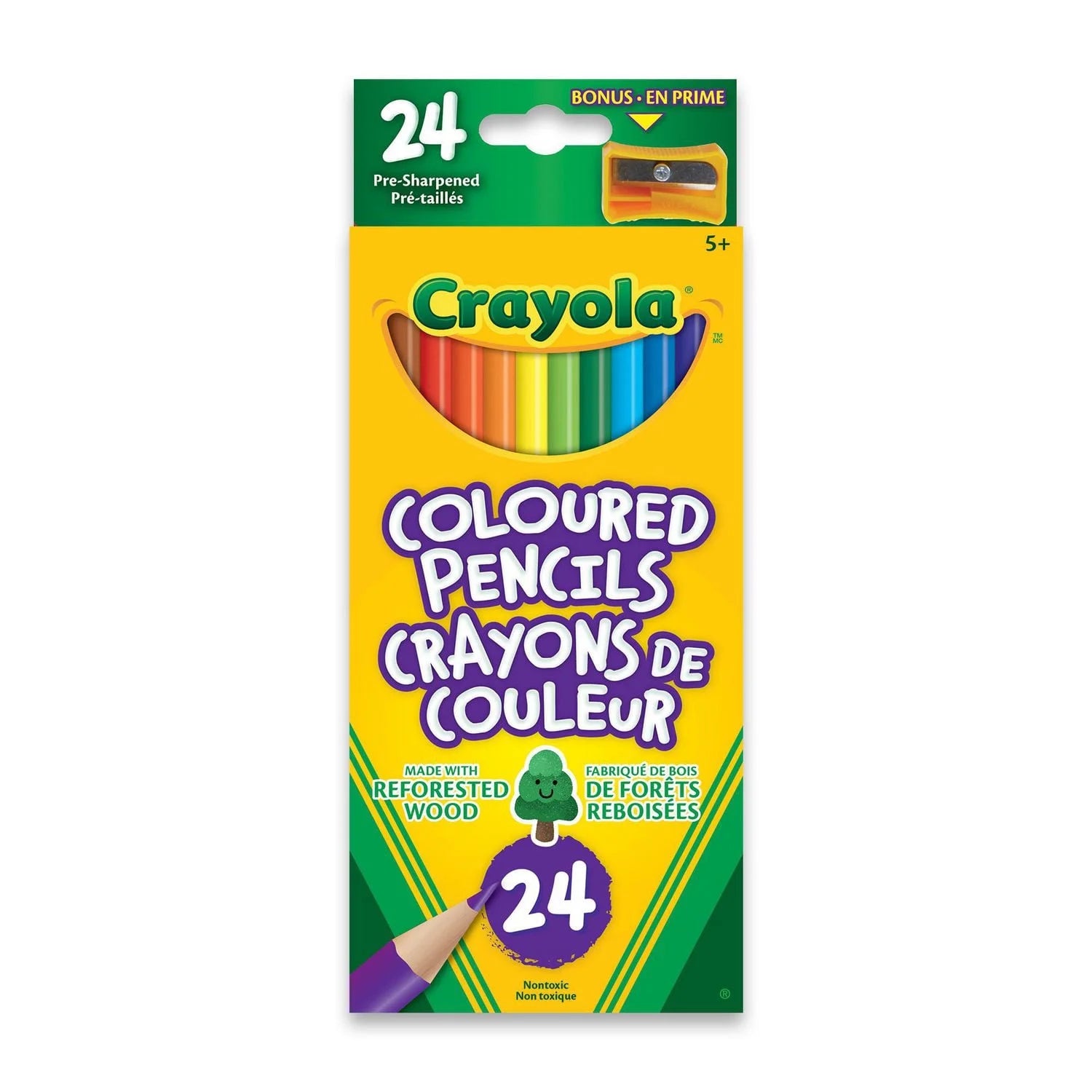 CRAYOLA - 24 COLOURED PENCILS