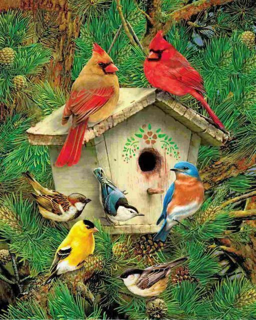 Springbok Puzzle- Feathered Retreat 1000pc