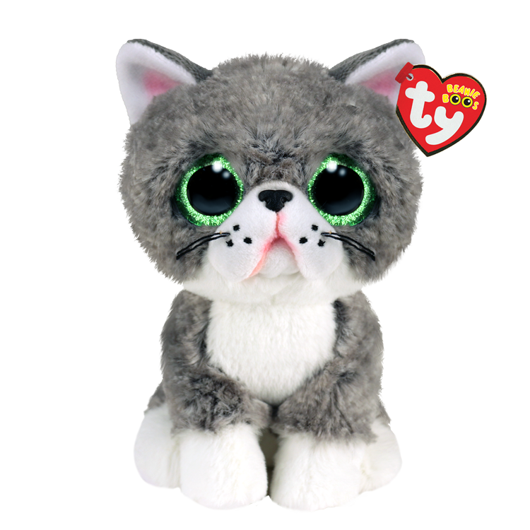 Fergus-cat(6in TY)