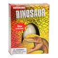 Dinosaur Fossil Egg