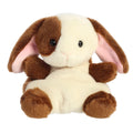 Palm Pals - Clover Bunny (Brwn-Crm) 5”