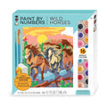 Paint By Numbers- Wild Horses