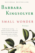 Small Wonder: Essays cover image