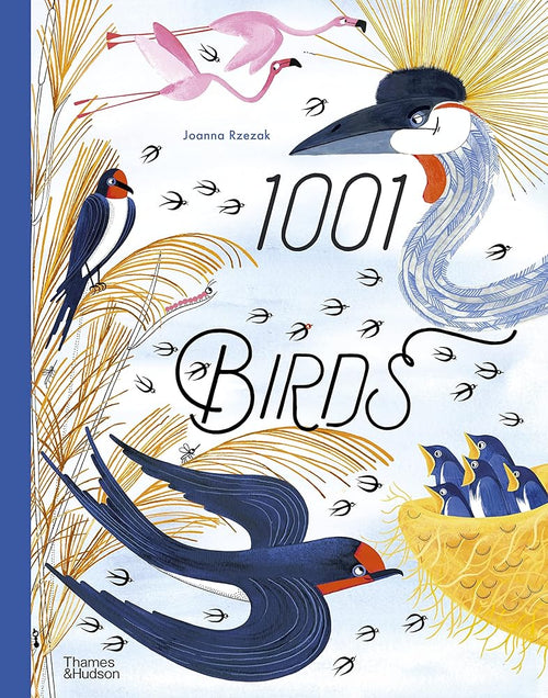 1001 Birds (1001 Series, 4) cover image