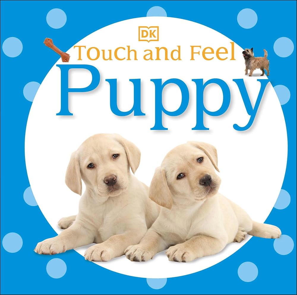 Touch and Feel: Puppy cover image