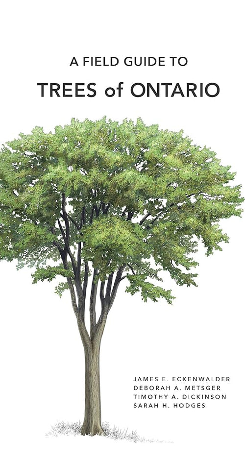 A Field Guide to Trees of Ontario cover image