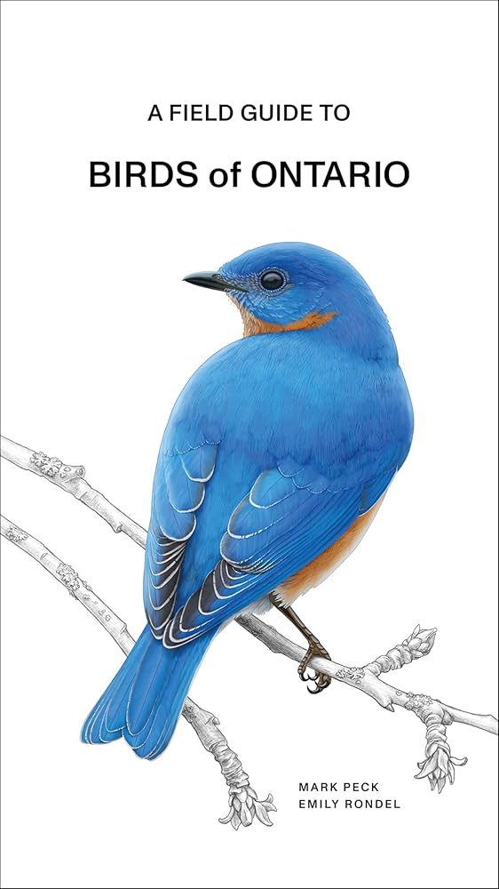 A Field Guide to Birds of Ontario cover image