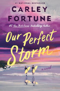 Our Perfect Storm