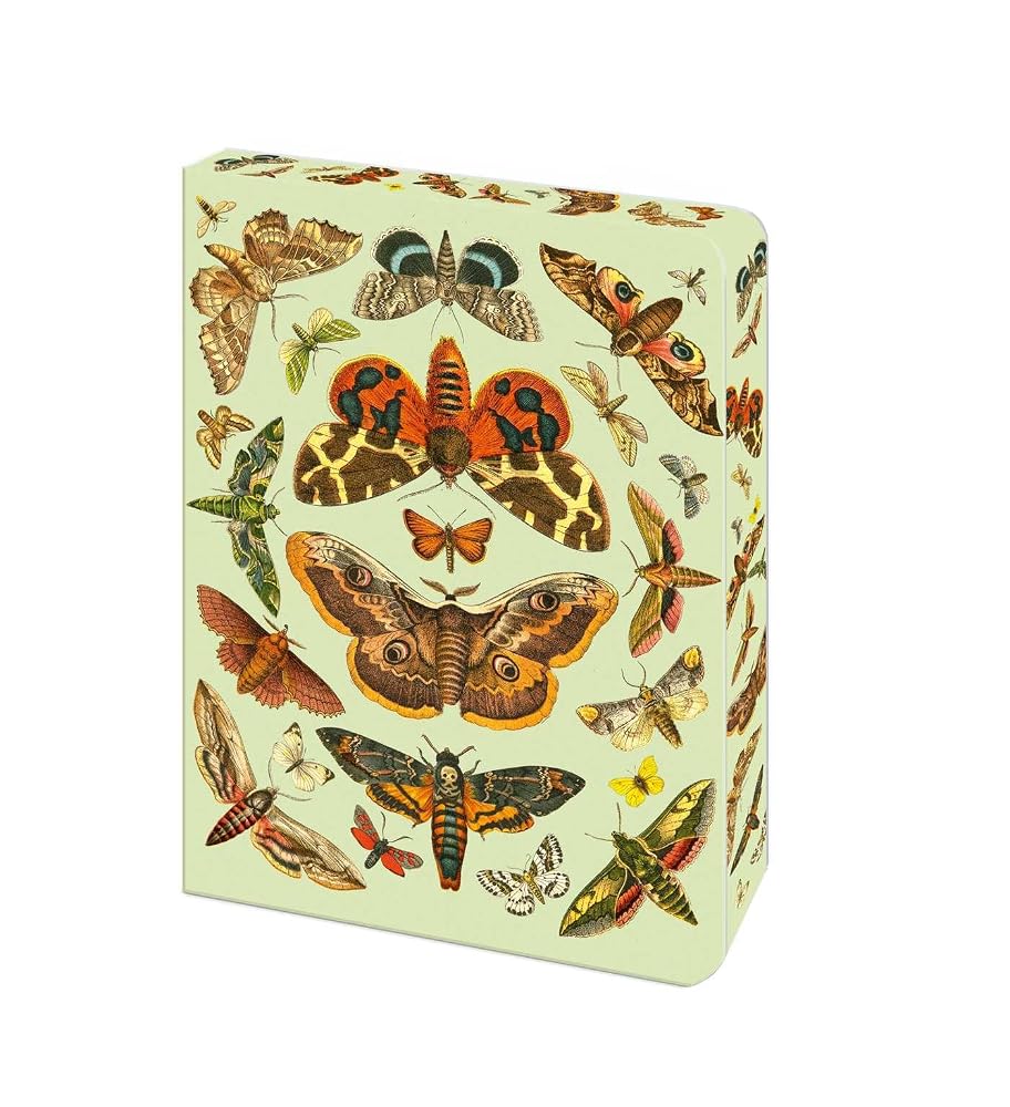 The Moth Journal: Blank Lined Notebook (Bermondsey Soft-Touch Journals) cover image