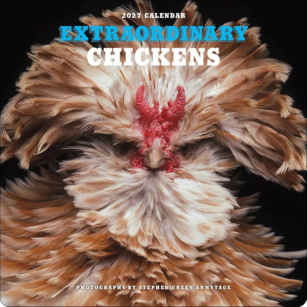 Extraordinary Chickens 2027 Wall Calendar cover image