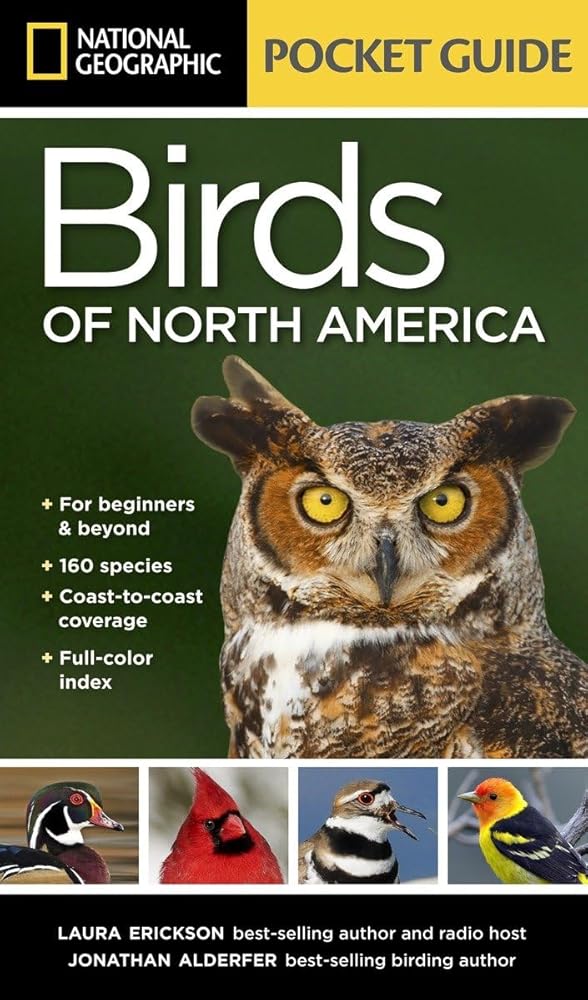 National Geographic Pocket Guide to the Birds of North America cover image
