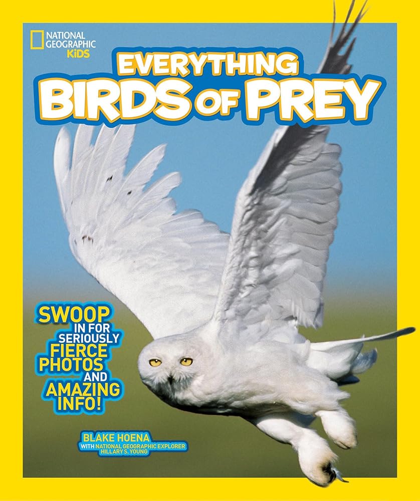 National Geographic Kids Everything Birds of Prey: Swoop in for Seriously Fierce Photos and Amazing Info cover image