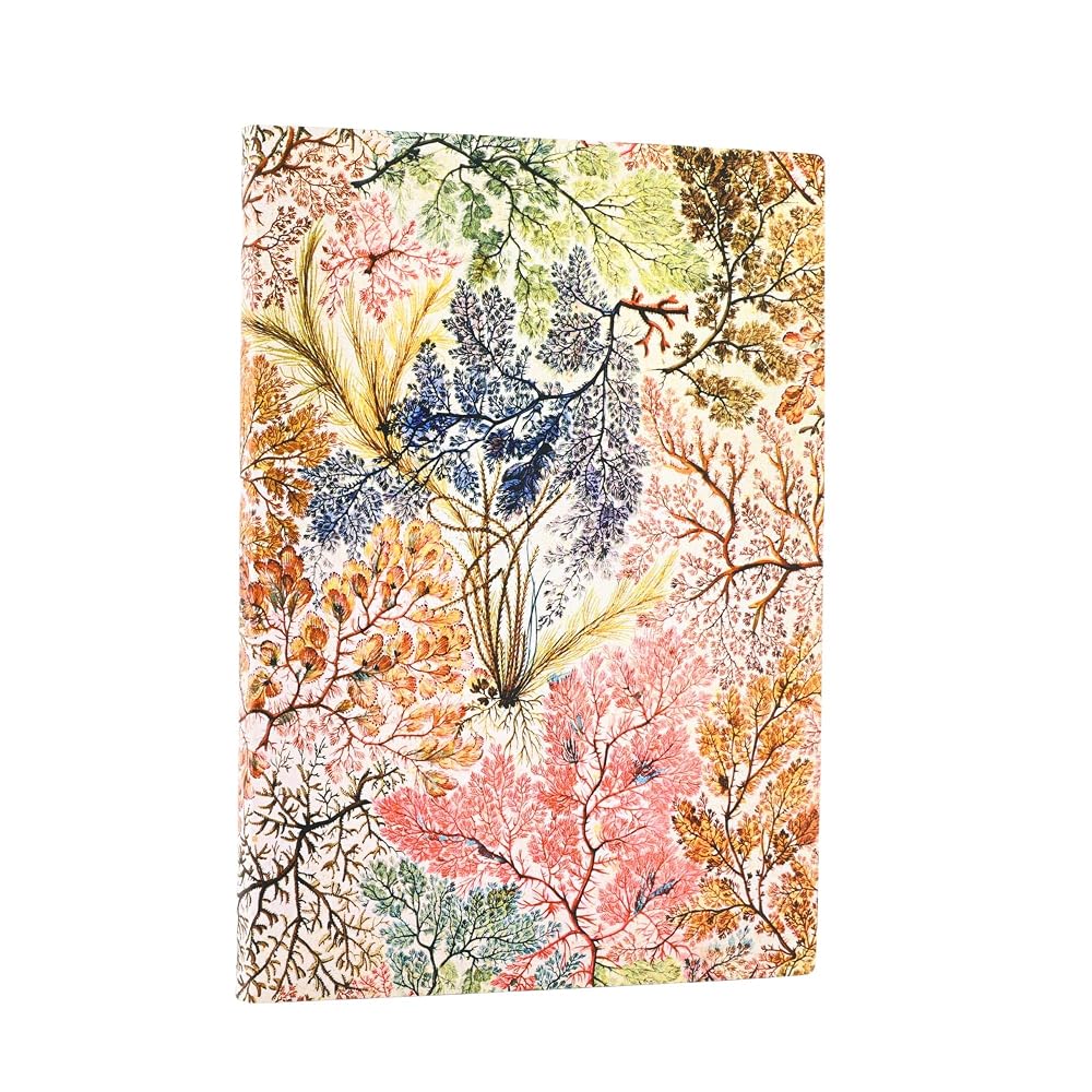 Anemone Midi Lined Softcover Journal, 176pg, 100GSM by Paperblanks (William Kilburn) cover image