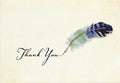 Watercolor Quill- Thank You Notes