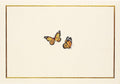 Monarch Butterflies Note Cards (Stationery, Boxed Cards) cover image