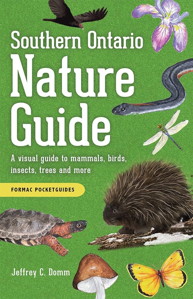 Southern Ontario Nature Guide: A visual guide to mammals, birds, insects, trees and more (English and English Edition) cover image