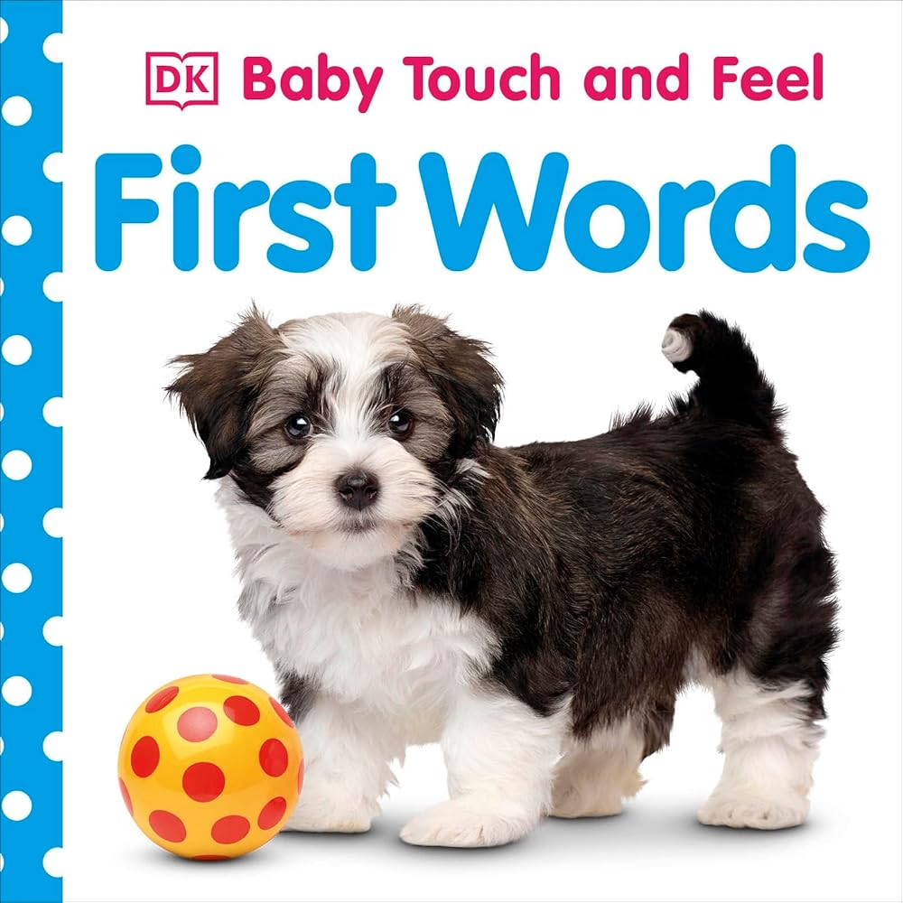 Baby Touch and Feel: First Words cover image