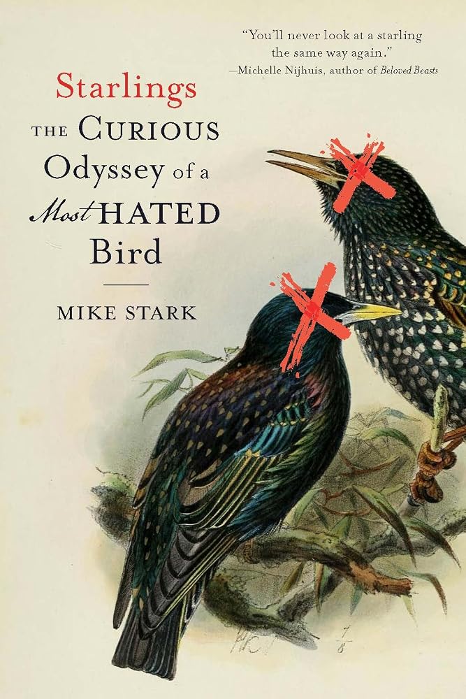 Starlings: The Curious Odyssey of a Most Hated Bird cover image
