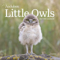 Audubon Little Owls Mini Wall Calendar 2027: A Year of Fluffy and Round Owls cover image