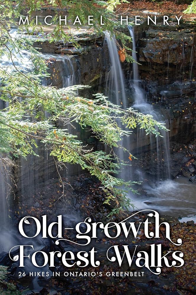 Old-Growth Forest Walks: 26 Hikes in Ontario's Greenbelt cover image