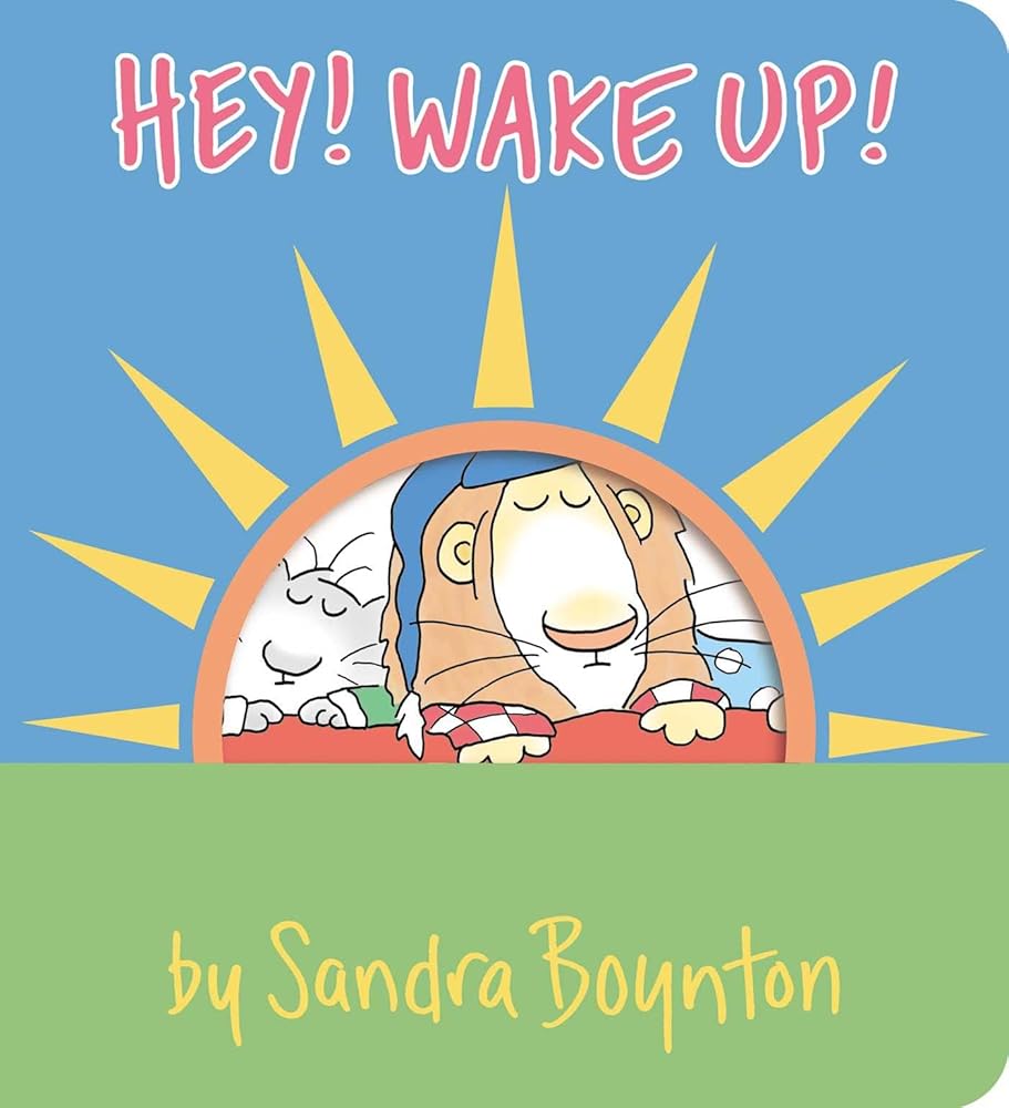 Hey! Wake Up! (Boynton on Board) cover image
