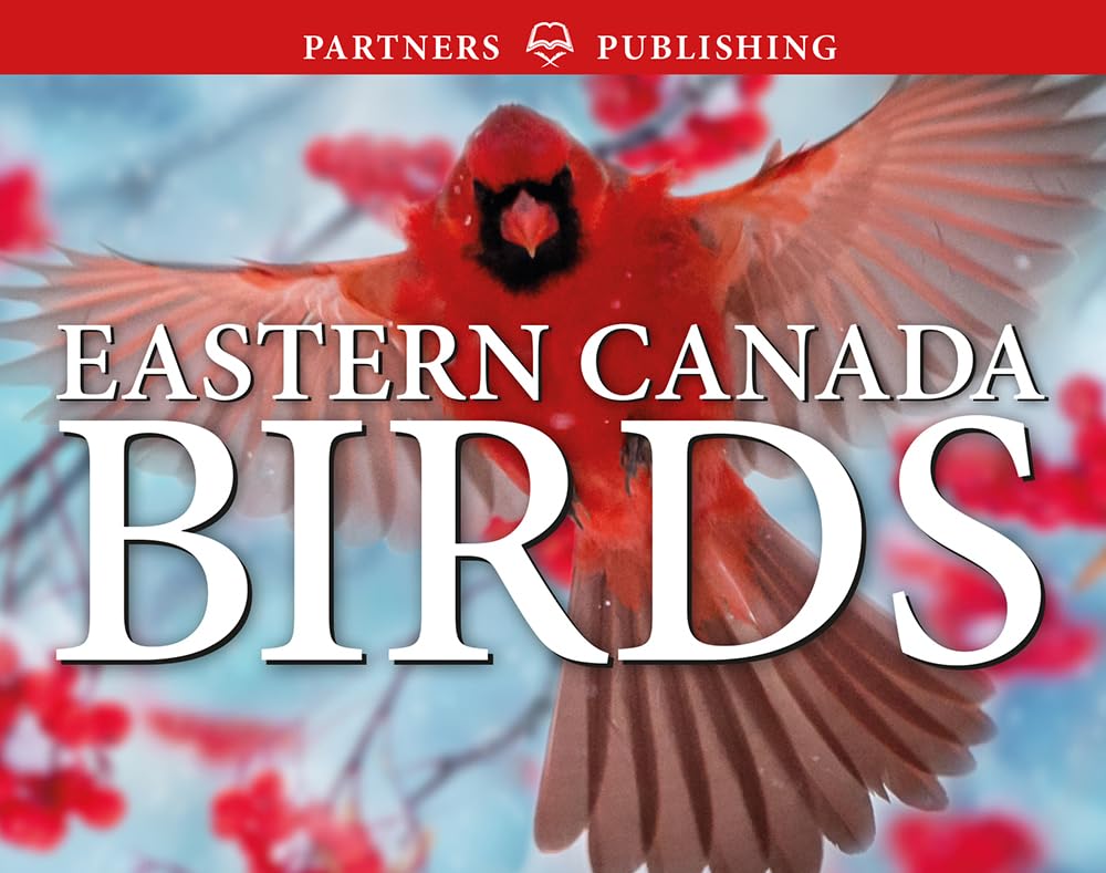 Eastern Canada Birds: Pocket Guide cover image