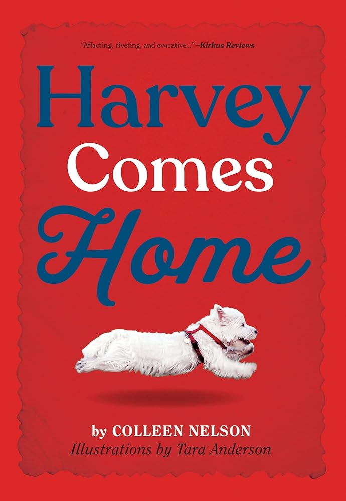 Harvey Comes Home (The Harvey Stories, 1) cover image