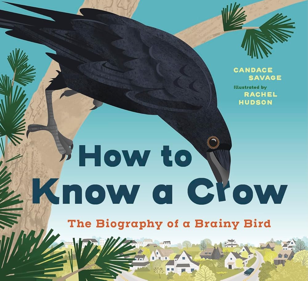 How to Know a Crow: The Biography of a Brainy Bird cover image