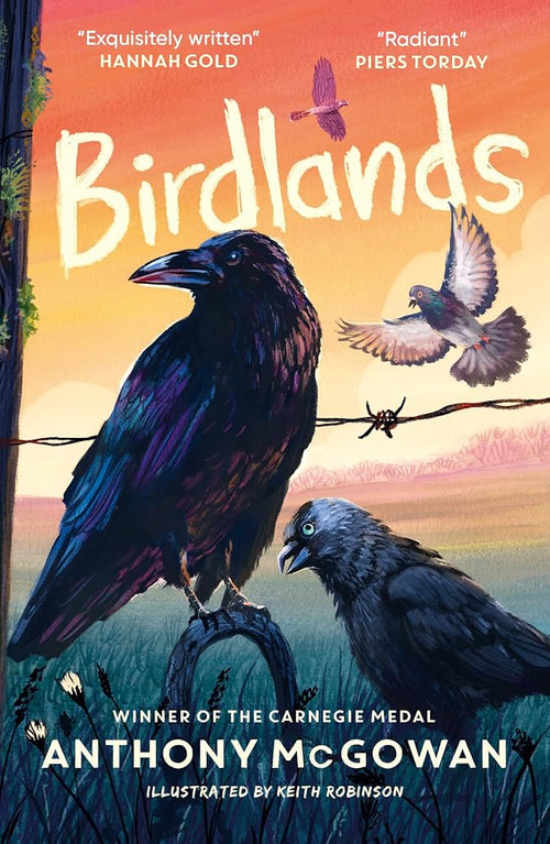 Birdlands: 'One of McGowan's best.' The Telegraph best new children's books cover image