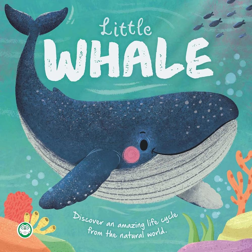 Nature Stories: Little Whale: Discover an Amazing Story from the Natural World cover image