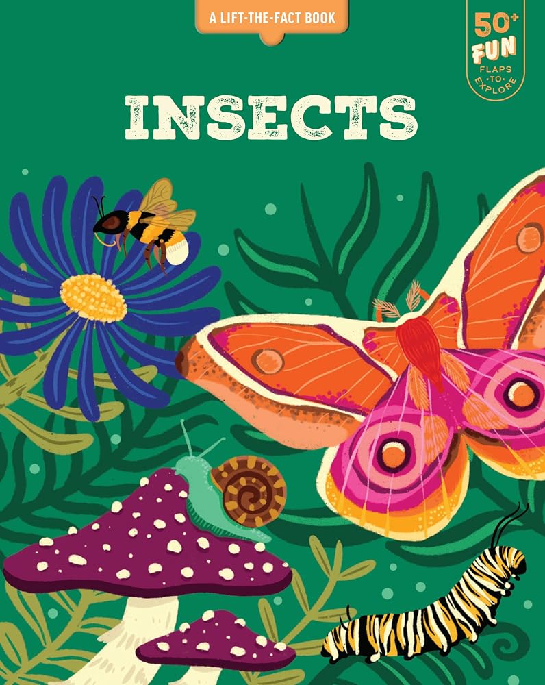 Insects: A Lift the Fact Book cover image